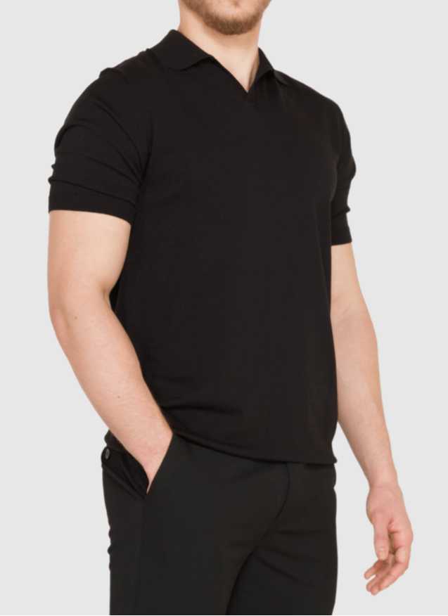 https://cdn.shopify.com/s/files/1/0918/5076/8719/files/alden-ash-black-s-silk-v-neck-polo-shirt-73926577652047.png?v=1744310711